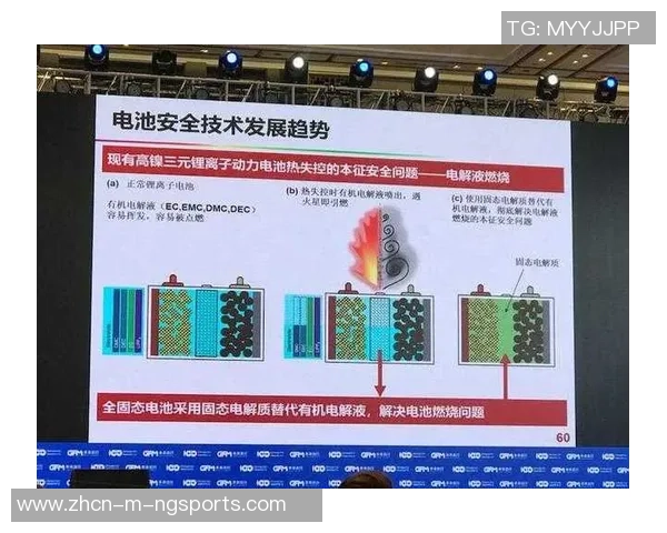 张文华在足球领域的崛起与成就探索与未来发展方向分析